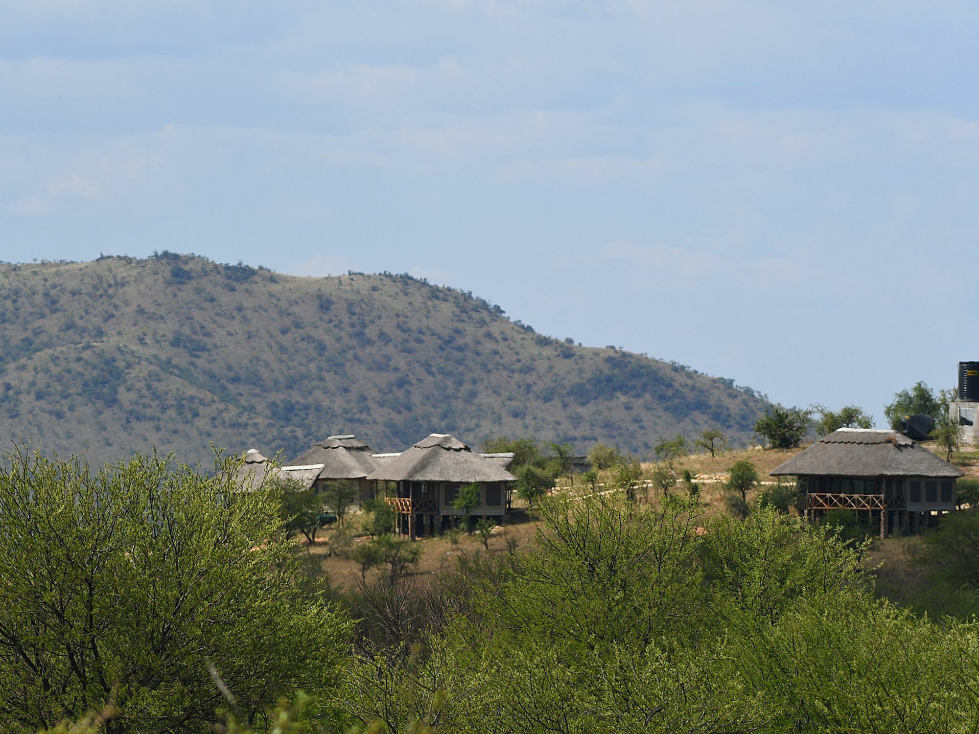 Serengeti Safari Lodge Extérieur photo
