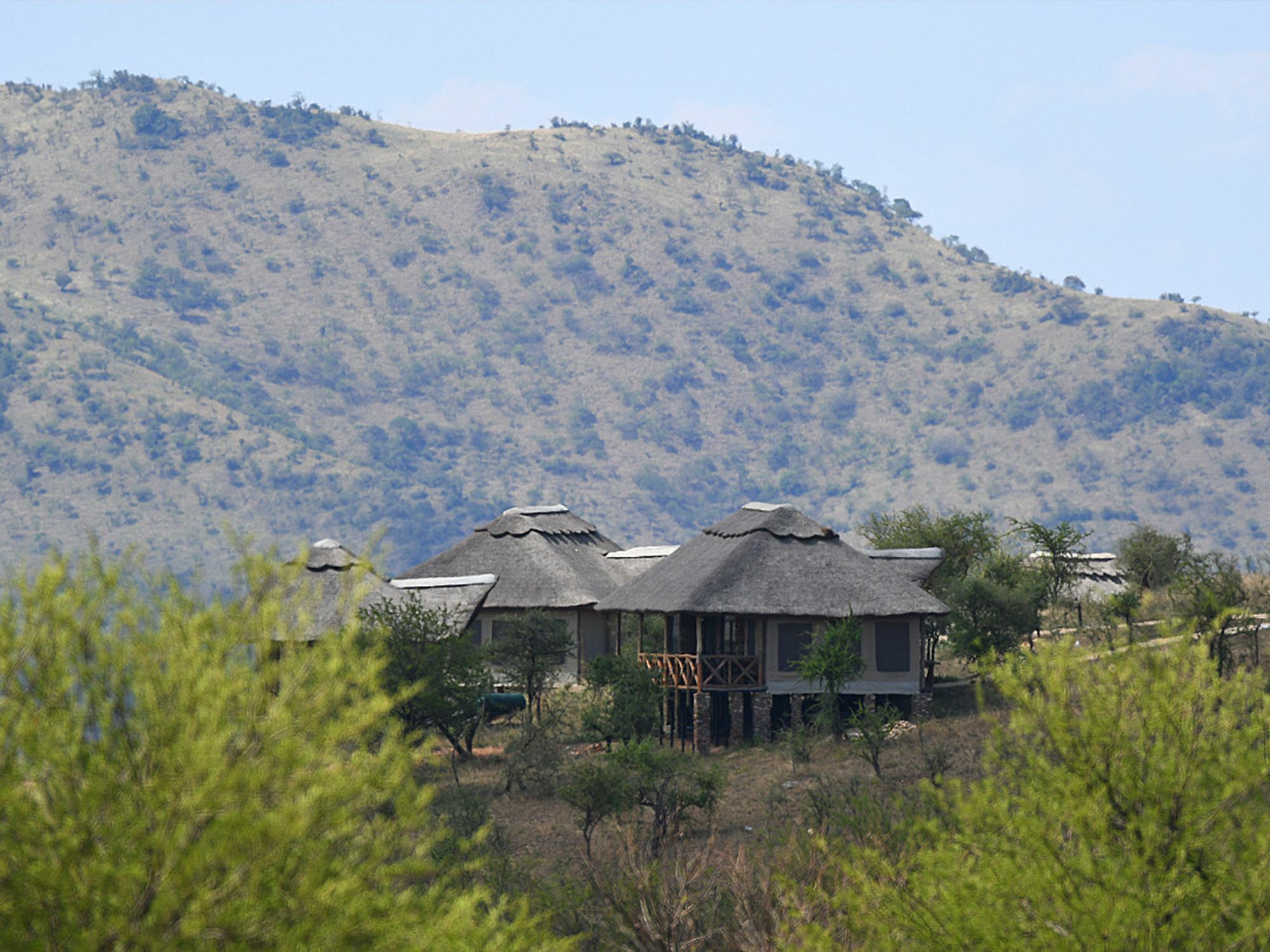 Serengeti Safari Lodge Extérieur photo